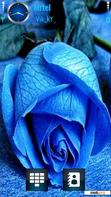 Download mobile theme Blue Rose