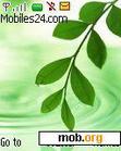 Download mobile theme Leaf