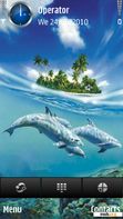 Скачать тему Dolphins