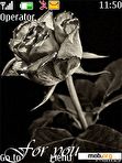 Download mobile theme Black Rose