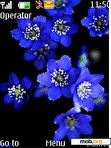 Download mobile theme Blue Flowers