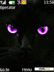 Download mobile theme Black Cat