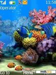 Download mobile theme Aquarium