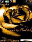 Download mobile theme GOLDEN ROSE