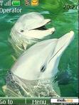 Download mobile theme Cute Dolphins