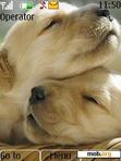 Download mobile theme Cute Puppies