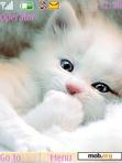 Download mobile theme White Kitten