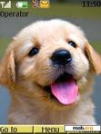 Download mobile theme Puppy_Dog