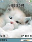 Download mobile theme Winky Cat