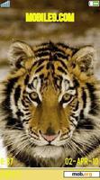 Download mobile theme tigre