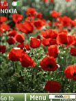 Download mobile theme Poppy,flash slide 7 picturs