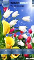 Download mobile theme spring flowers