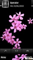 Download mobile theme Absolutely Pink Flowers