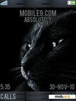 Download mobile theme black cat