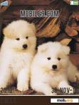 Download mobile theme puppies