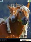 Download mobile theme Horse