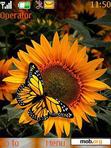 Скачать тему Butterfly sun flower_by edwin