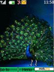 Download mobile theme Animated Peacock