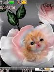 Download mobile theme Rose kitten flash slide