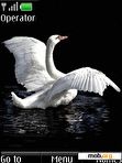 Download mobile theme Swan animated