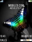 Download mobile theme Absolutely Butterfly