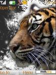 Download mobile theme Tiger