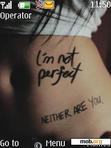 Скачать тему Perfect.nth