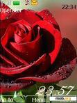 Download mobile theme Roses