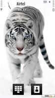 Download mobile theme White Tiger