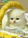 Download mobile theme White kitten animated