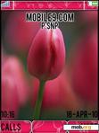 Download mobile theme rose theme for k850 -TMC -249