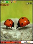 Download mobile theme Ladybirds, animation