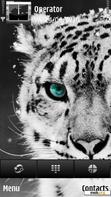 Download mobile theme Absolutely Tiger