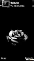 Download mobile theme Black Rose