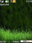 Download mobile theme Grass Dew