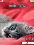 Download mobile theme Pensive Kitten