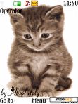 Download mobile theme ANIMATED CAT