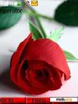 Download mobile theme rose love