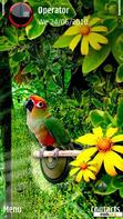 Download mobile theme parrot 3d