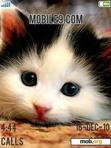 Download mobile theme CUTE CAT