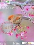 Download mobile theme Bird_ With Clock