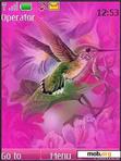 Download mobile theme Bird_Pink_ by edwin