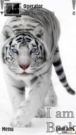 Download mobile theme Absolutely Tiger