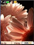 Download mobile theme Flowers