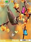 Download mobile theme Bird & Butterflys