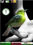 Download mobile theme Bird_ With Clock_77