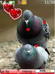 Download mobile theme Animated_ Love Birds_1