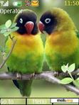 Download mobile theme Love Birds_2