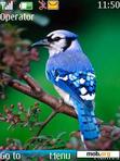 Download mobile theme Nature_Bird_ by edwin