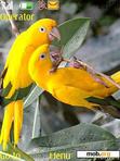 Download mobile theme Love BIrds_3